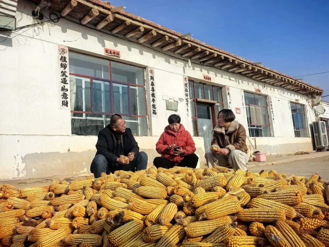 1775546079694063474.jpeg 640 (1).jpeg